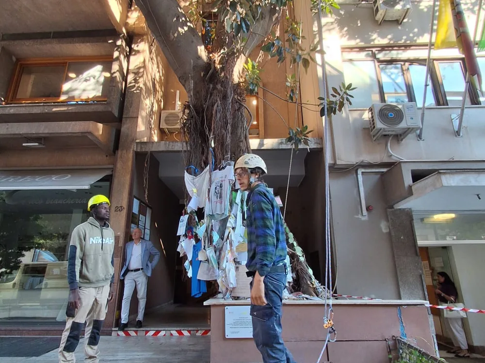 I nostri operatori davanti all'albero Falcone in via Notarbartolo, con le corde già montate