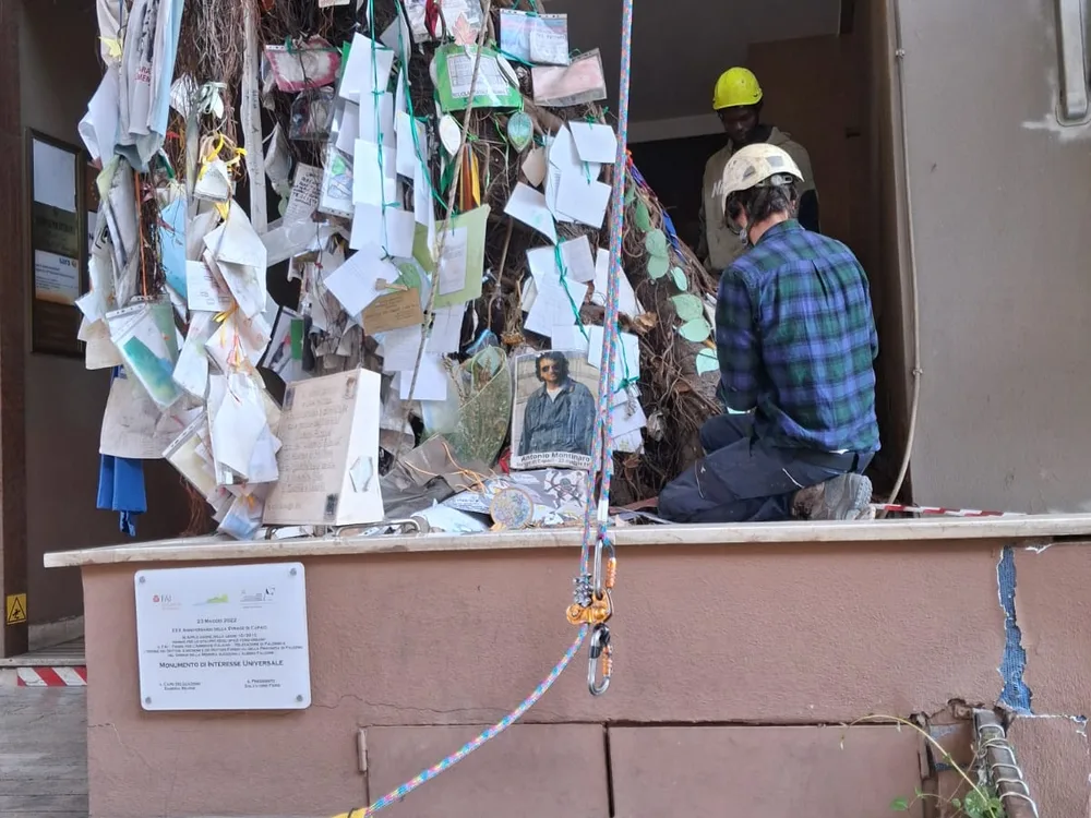 Il tronco coperto dai messaggi lasciati da cittadini e studenti, durante l'intervento