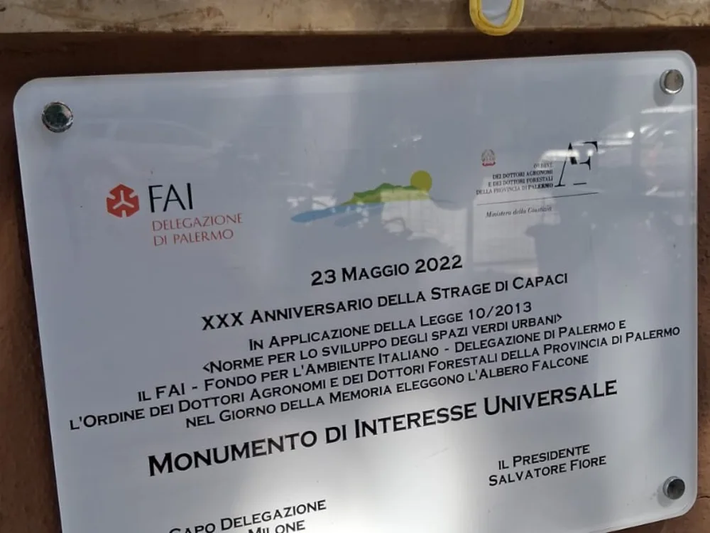 La targa che elegge l'albero Falcone monumento di interesse universale