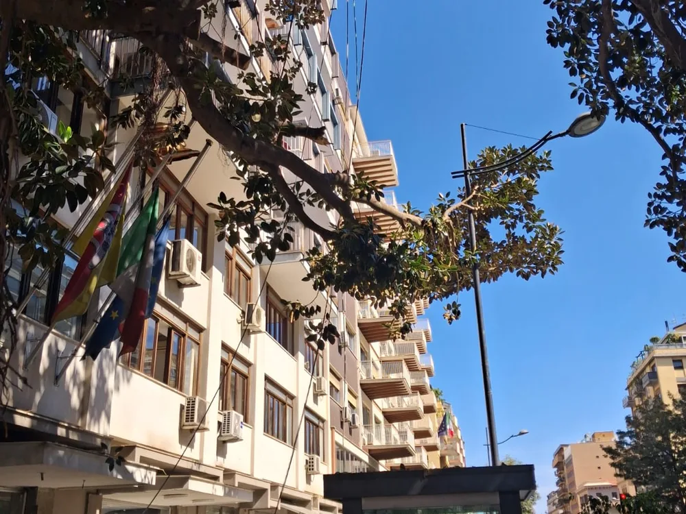 L'albero Falcone visto dalla strada, davanti alla casa del giudice