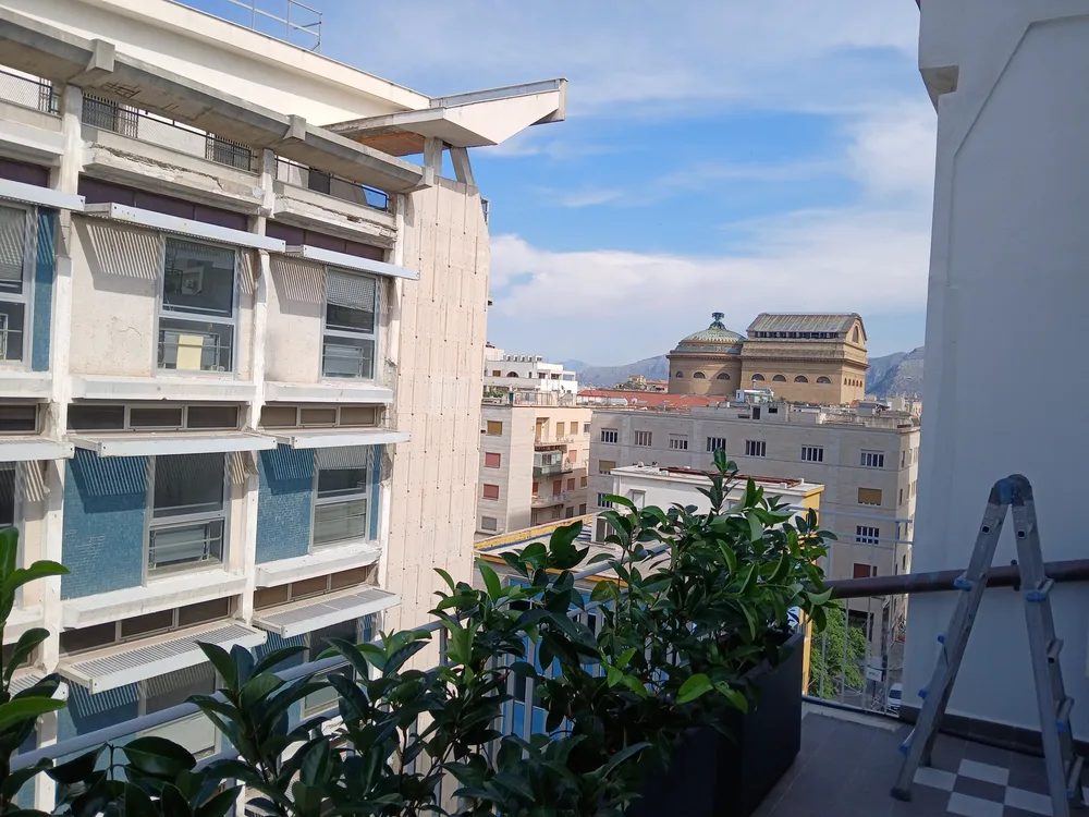 Le piante in fioriera viste dall'alto del terrazzo, con i palazzi intorno