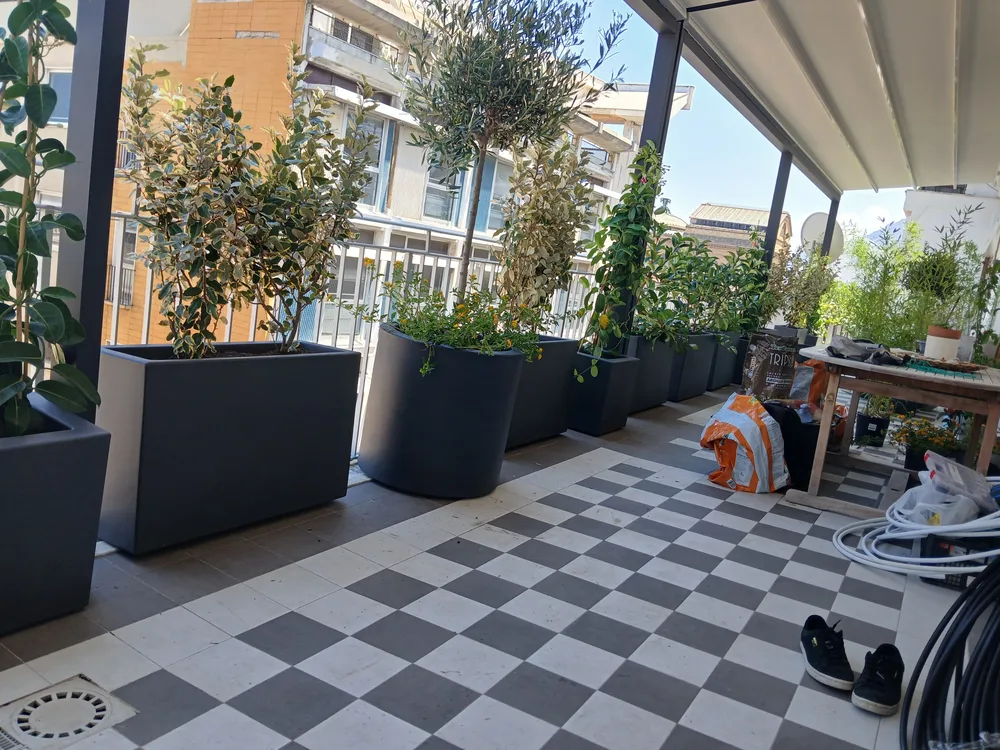 Il terrazzo a lavoro finito: fioriere, ulivo in vaso e pergola sul pavimento a scacchi