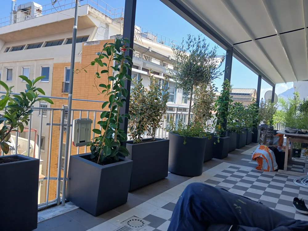 Il terrazzo visto da sotto la pergola, con la siepe a fare da schermo