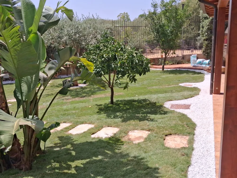 Passi giapponesi nel prato, con strelitzia e agrumi ai lati