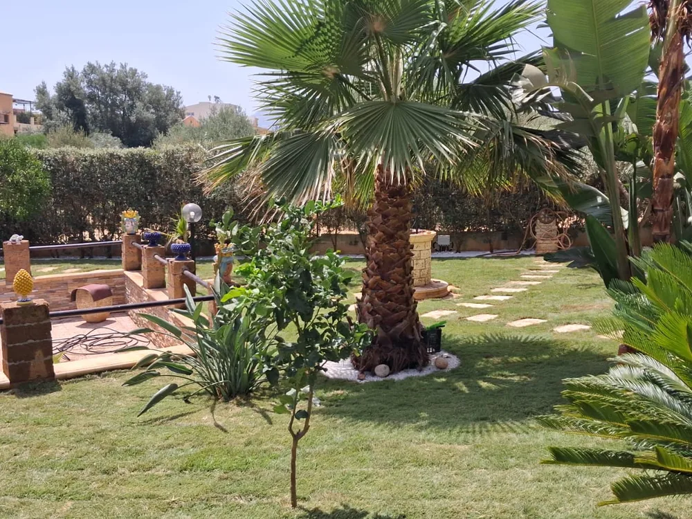 Palme washingtonia e aiuole nel giardino della villa