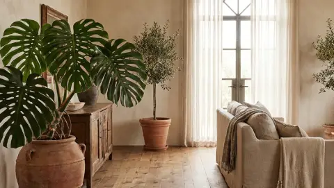 Una Monstera in vaso nel soggiorno di una casa, accanto alla finestra